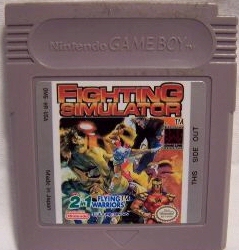 ../gameboy-big/fighting_simulator_2in1_flying_warriors.jpg