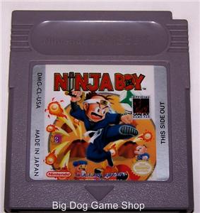 ../gameboy-big/ninja_boy.jpg