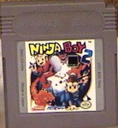 ../gameboy-big/ninja_boy_2.jpg