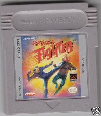 ../gameboy-big/raging_fighter.jpg