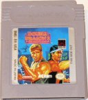 ../gameboy-small/double_dragon_3.jpg