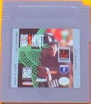 ../gameboy-small/frank_thomas_big_hurt_baseball.jpg