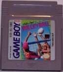 ../gameboy-small/malibu_beach_volleyball.jpg